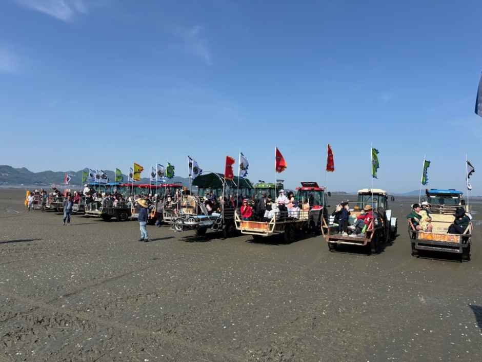 河田蛤蜊五感体验节