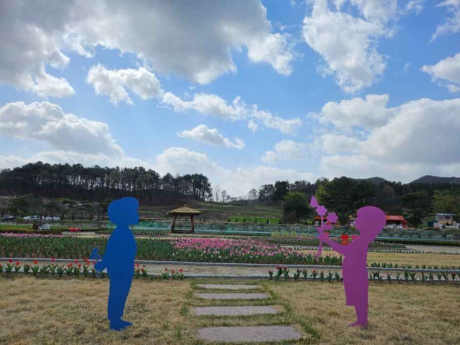 회룡포 봄나들이 축제 9