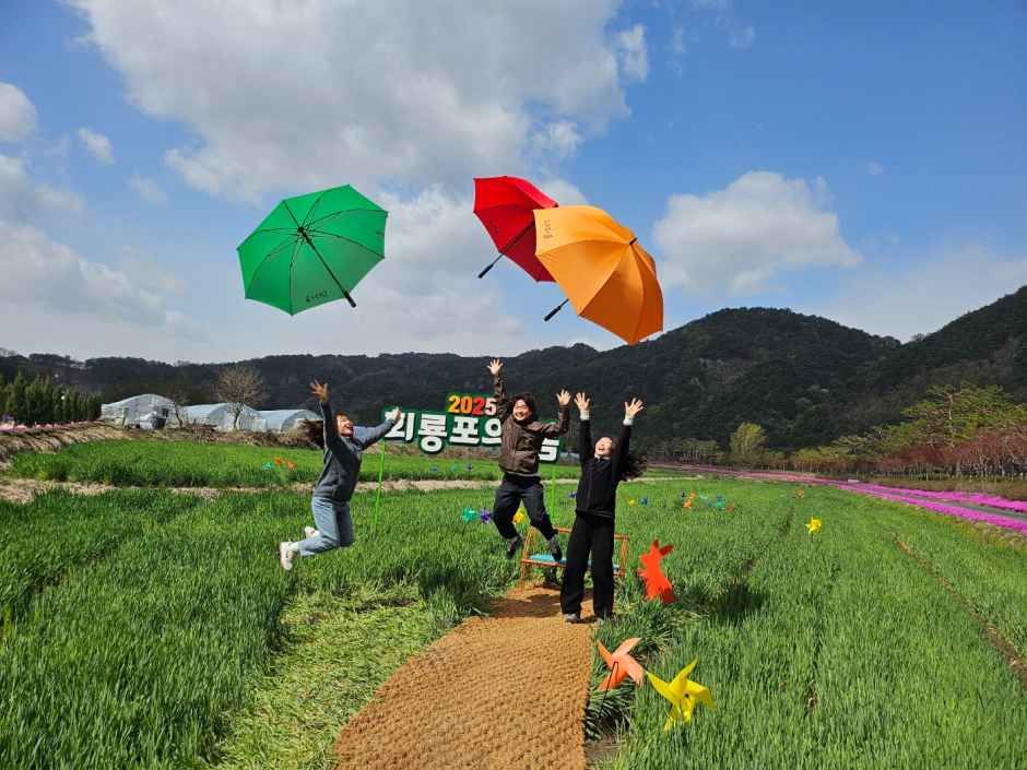 회룡포 봄나들이 축제 4