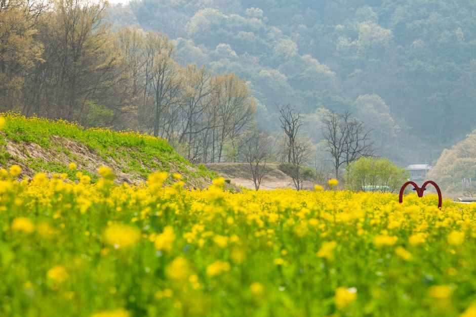 회룡포 봄나들이 축제 6