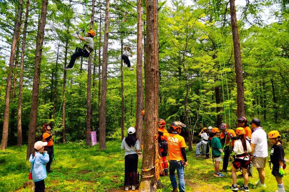 第12届天空森林步道徒步节