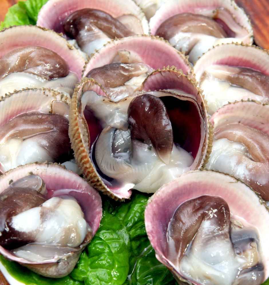 洪城南塘港トリガイ祭り 10