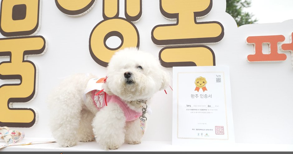 동물행복페스타 2