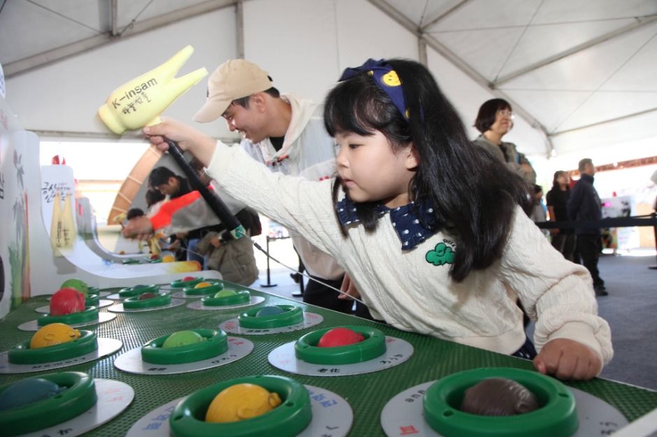 금산세계인삼축제 6