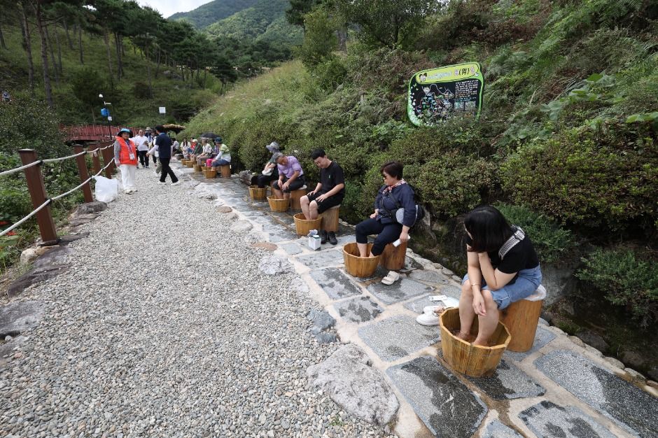 山清韓方薬草祭り 6