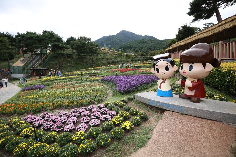 山清韩方药草节