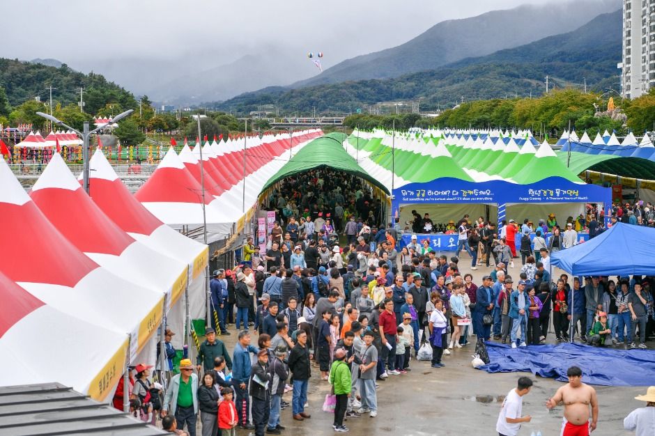 영주 풍기인삼축제 4