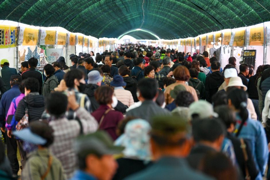 영주 풍기인삼축제 3