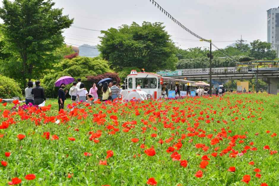 长城黄龙江音乐疗愈节
