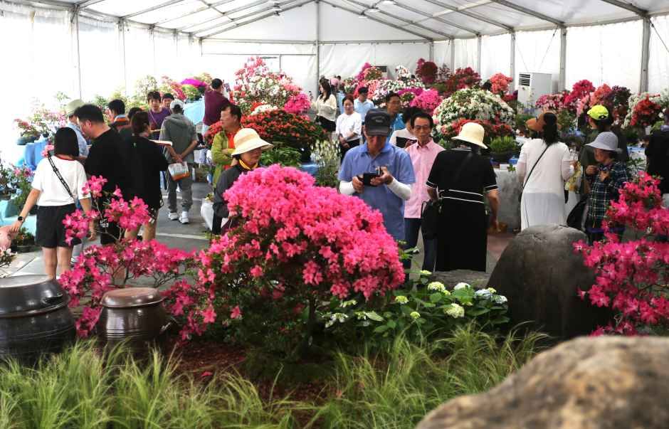 丹阳小白山金达莱节