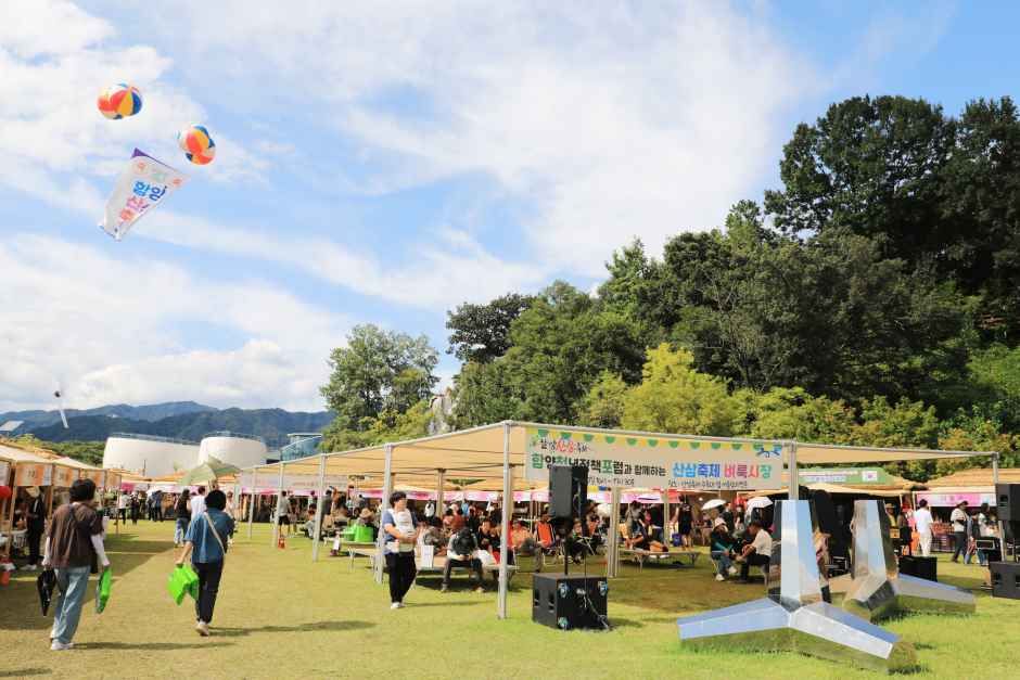 함양산삼축제 6