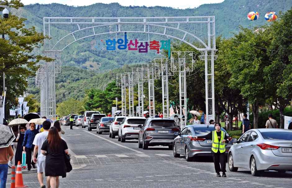 함양산삼축제