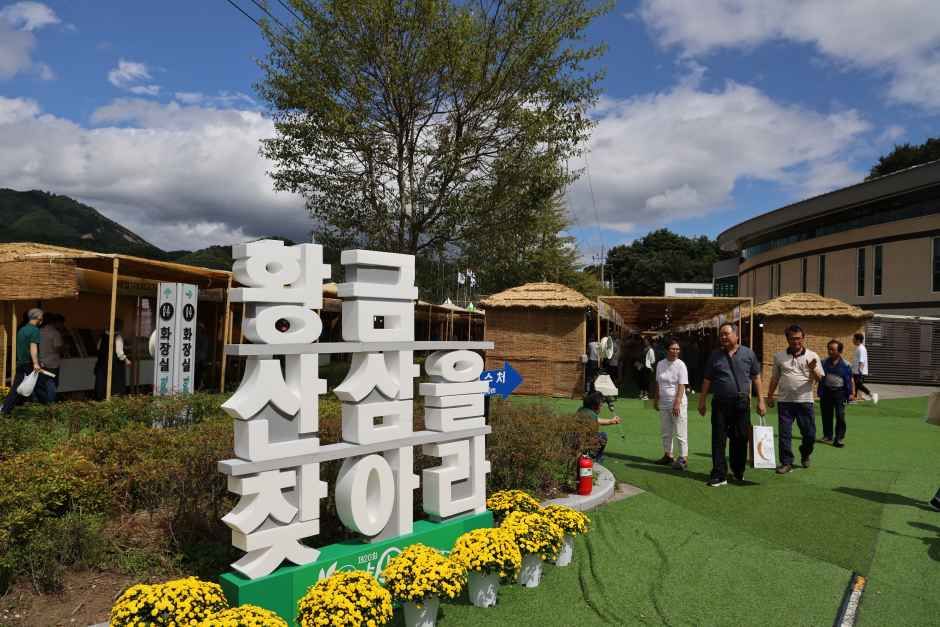 함양산삼축제 3