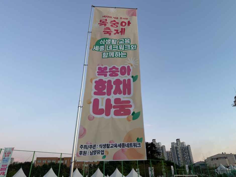 세종 조치원 복숭아 축제 4