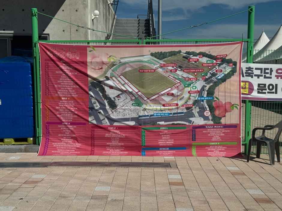 세종 조치원 복숭아 축제 5