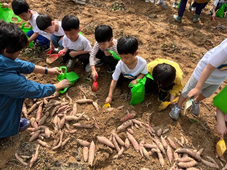 清原生命祭り 3