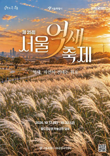 서울억새축제 10