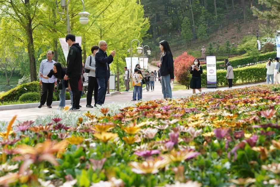 청남대 봄꽃축제 영춘제 9