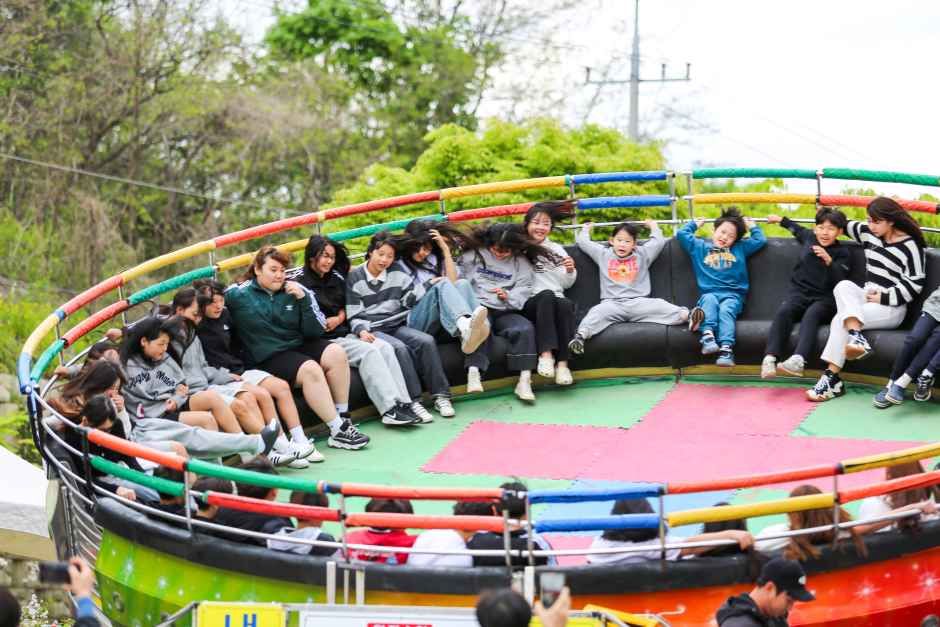 楊口コムチ祭り 9