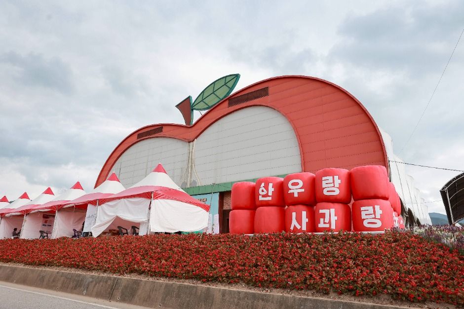 长寿韩牛苹果节