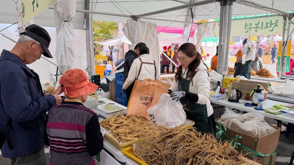 洪川高麗人参・韓牛名品祭り 4