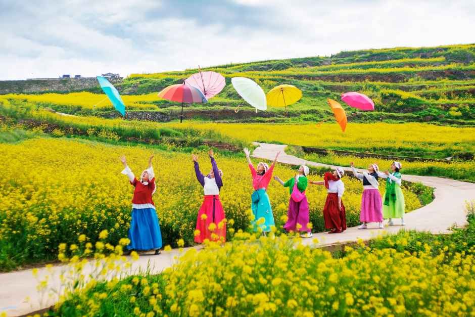 2026 청산도슬로걷기 축제 5